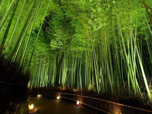 柏 一吾山房 Haku Ichigo-Sanbo Villa Kyoto Exterior photo